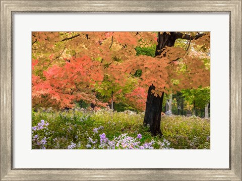 Framed Autumn Splendor Print