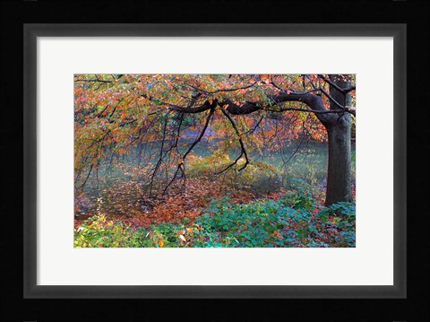 Framed Fall Retreat Print