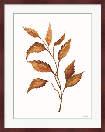 Framed Fall Leaf Stem IV Print