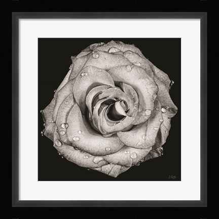 Framed Love Lost Print