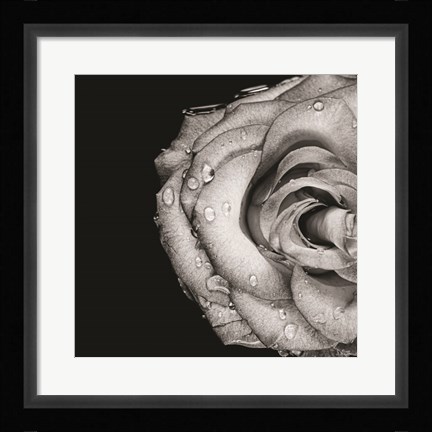 Framed Lost Love Print