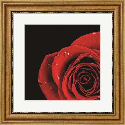 Framed Pop of Red Rose Print