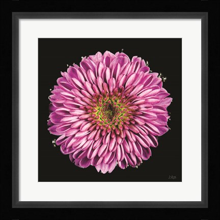 Framed Purple Gradient Print