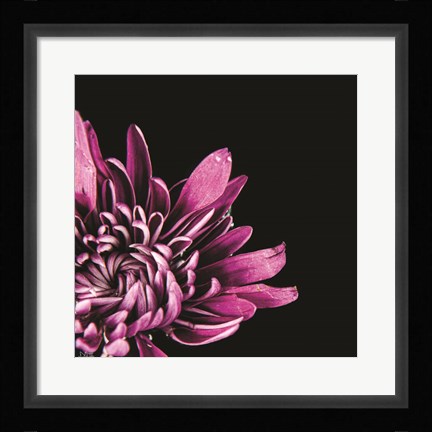 Framed Love Intertwined I Print