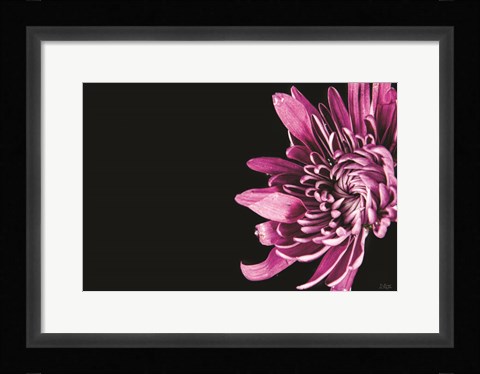 Framed Love Intertwined II Print