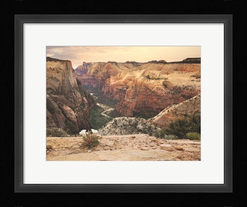 Framed Zion Desert Life Print