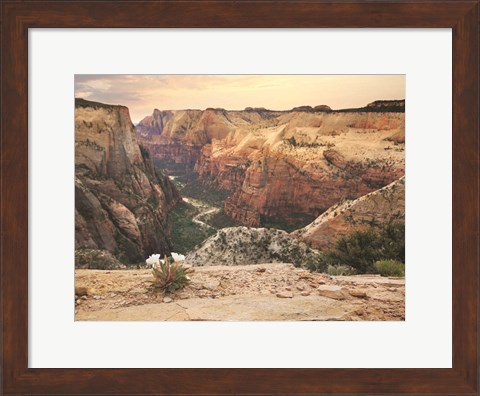 Framed Zion Desert Life Print