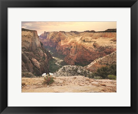 Framed Zion Desert Life Print