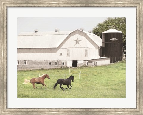 Framed Afternoon Run on the Farm Print