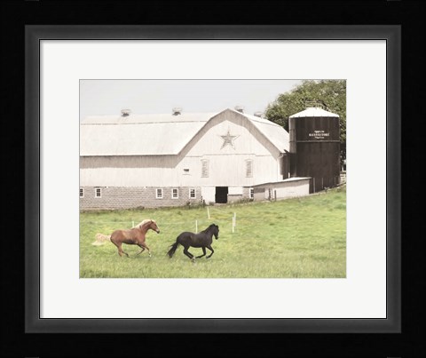 Framed Afternoon Run on the Farm Print