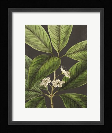 Framed Grand Leaves Print