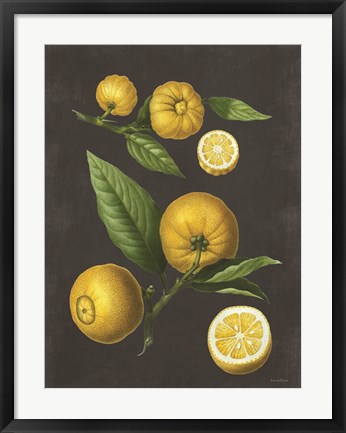 Framed Lemon Citrus Print