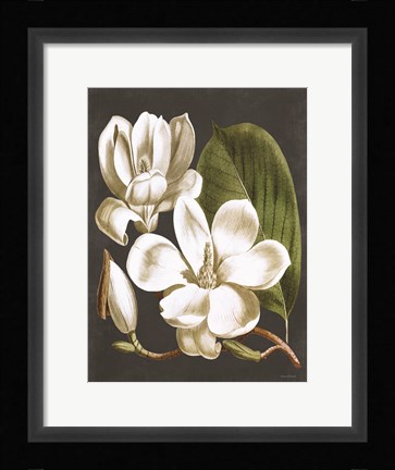 Framed Magnolia Print