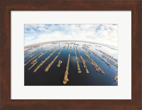 Framed Water World Print