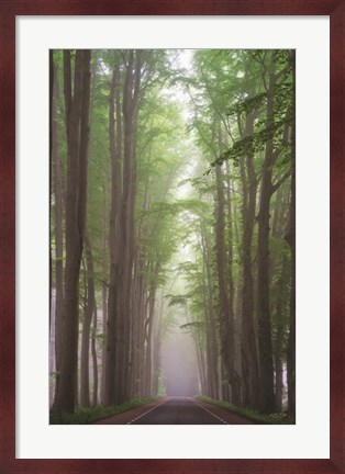 Framed Foggy Road Print