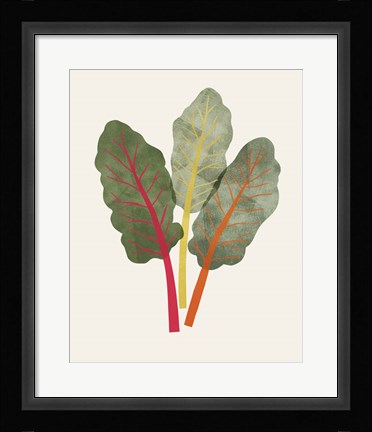 Framed Organic Veg V Print