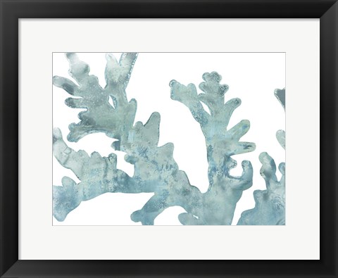 Framed Blue Macro Coral II Print