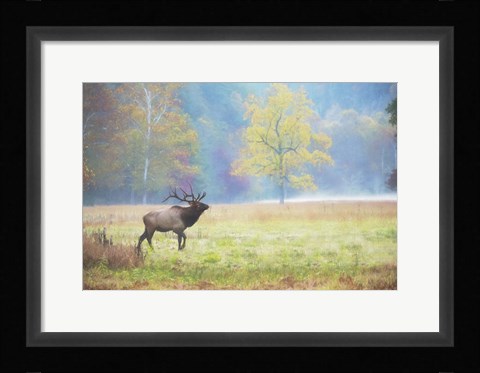 Framed View At Rest IV Print