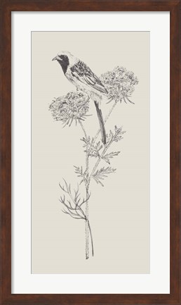 Framed Nature with Bird II Print