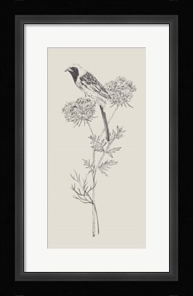 Framed Nature with Bird II Print