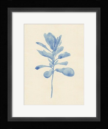 Framed Verditer Fig IV Print