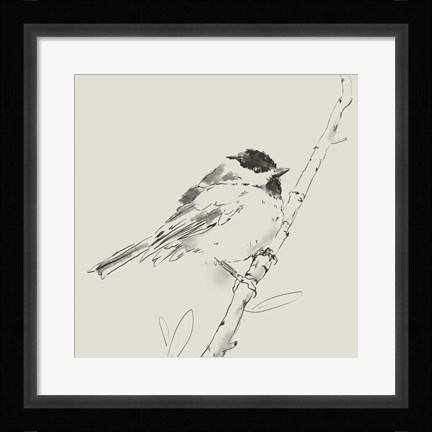 Framed Black Capped Chickadee I Print