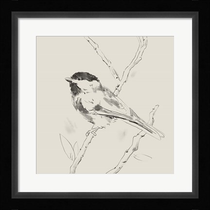 Framed Black Capped Chickadee II Print