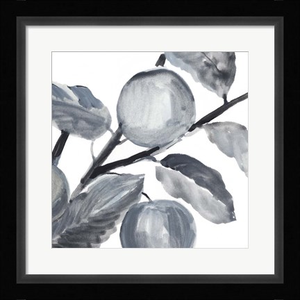 Framed Rustic Vine II Print