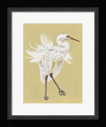 Framed Heron Plumage V Print