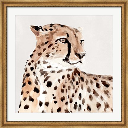 Framed Saharan Cheetah I Print