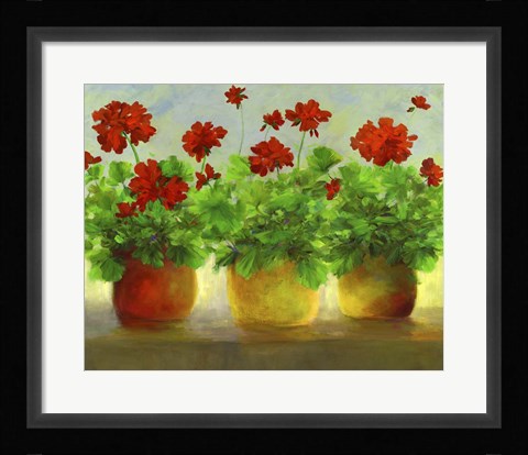 Framed Geraniums III Print