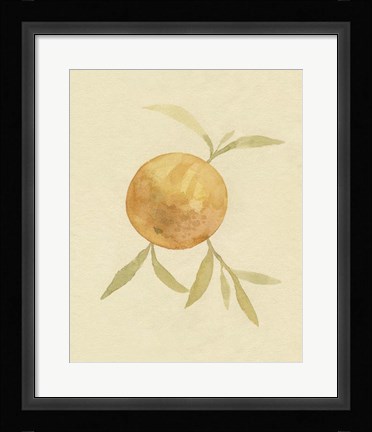 Framed Dappled Oranges II Print