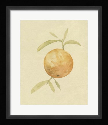 Framed Dappled Oranges III Print