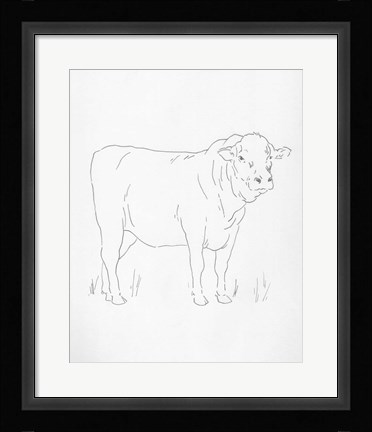 Framed Limousin Cattle I Print