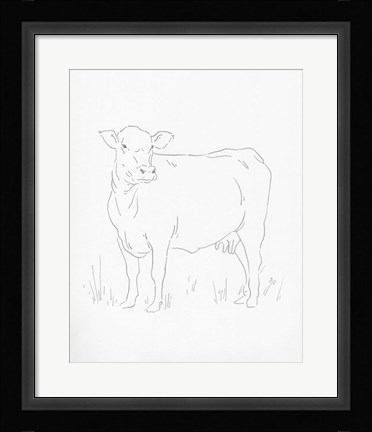 Framed Limousin Cattle II Print