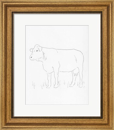 Framed Limousin Cattle IV Print