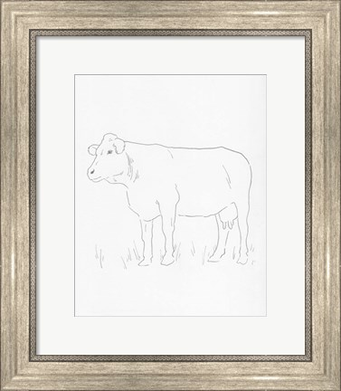 Framed Limousin Cattle IV Print