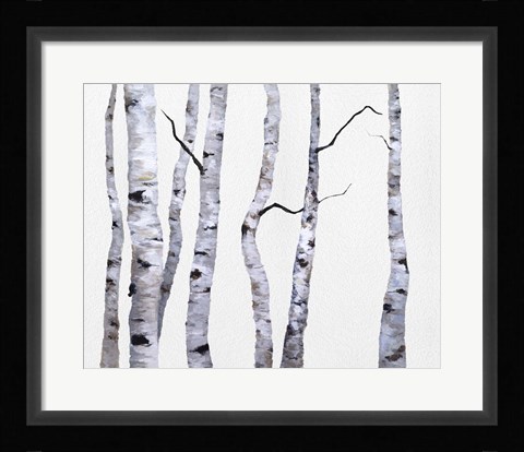 Framed Birch Trees I Print