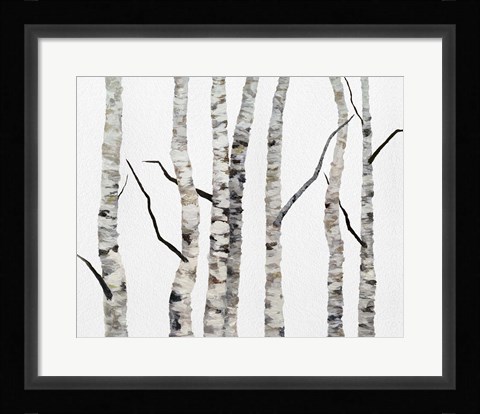 Framed Birch Trees II Print