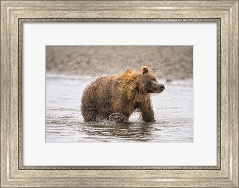 Framed Photography Study Shake it Off Print