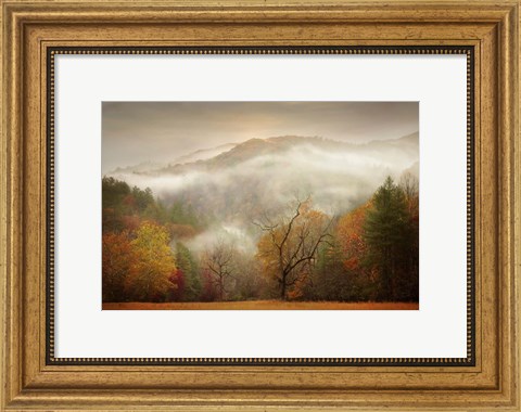 Framed Photography Study Autumn Mist Print
