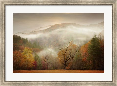 Framed Photography Study Autumn Mist Print