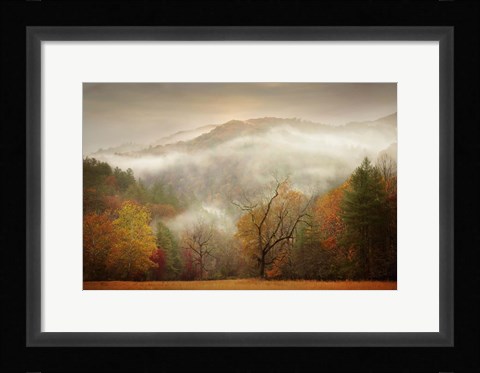 Framed Photography Study Autumn Mist Print