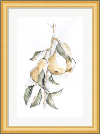 Framed Watercolor Fruit Contour I Print