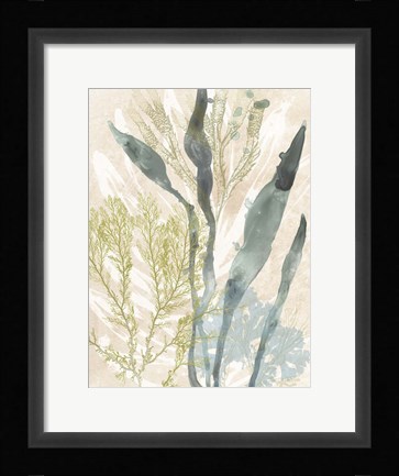 Framed Vintage Ocean Jewels I Print