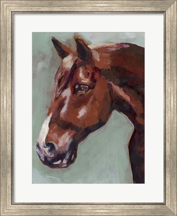 Framed Paint by Number Horse I Print