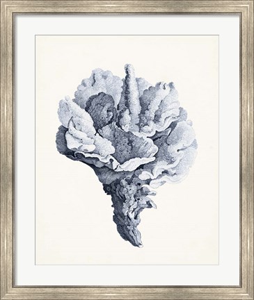 Framed Blue Antique Coral III Print