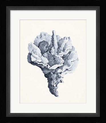 Framed Blue Antique Coral III Print