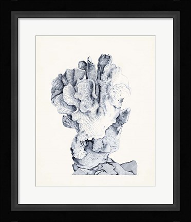 Framed Blue Antique Coral IV Print