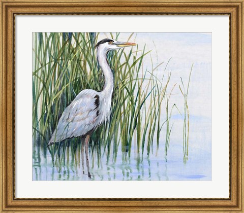 Framed Heron in the Marsh I Print